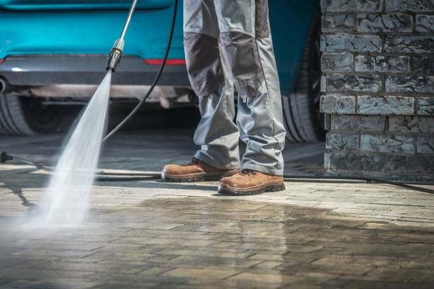 Best Winterizing Services  in College, AK