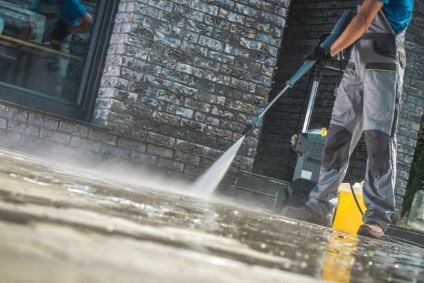 Best Boat and Dock Cleaning  in College, AK