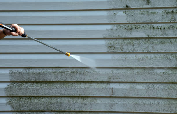 Best Driveway Pressure Washing  in College, AK