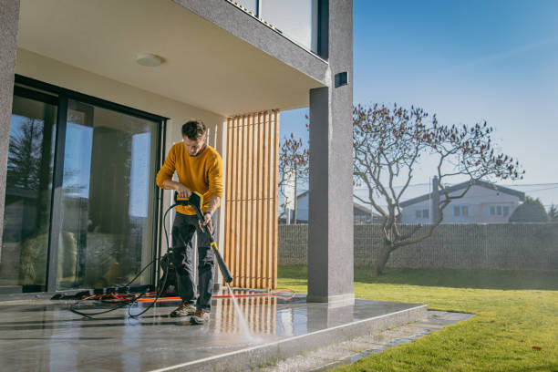 Best Building Exterior Washing  in College, AK